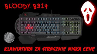 99 Klawiatura gamingowa za 1zł Bloody B314  prezentacja i test [upl. by Efren]