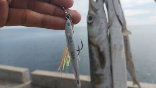 MANCING DI PELABUHAN SANGATTA  MICRO JIG 17 GRAM WARNA SILVER DI HAJAR BARRACUDA [upl. by Vedette94]