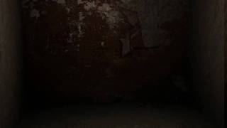 Silent Hill Wall Peeling [upl. by Chemaram520]