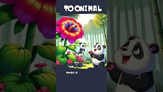 🙆‍♀️ The Panda Video for Toddlers Bamboo Haven 💢 [upl. by Ardnoel]