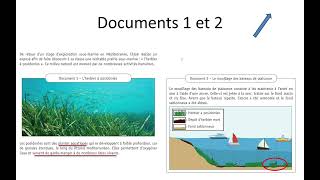 CE1D Sciences 2022  question 2 [upl. by Renfred]