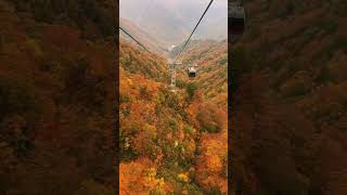 “Stunning Views from Tanigawadake Ropeway 🇯🇵✨ MountainAdventure JapanTravel” [upl. by Trebmer904]