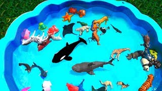 Wild Zoo Animal Toys  Learn Animal Names For Kids [upl. by Uriah187]