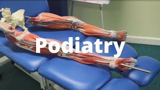 Podiatry Facilities Tour [upl. by Eelnodnarb]