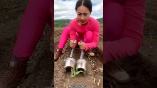 Satisfying Seedlings Planting Tools for Rural Farmer  Helpful Agricultural Tools shorts ytshorts [upl. by Hare676]