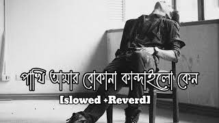 Boka pakhi ।।বোকা পাখি আপন চিনলি না ।। Atif Ahmed Niloy।। Bengali sad lofi mix song।।Slowed amp Reverb [upl. by Cott]