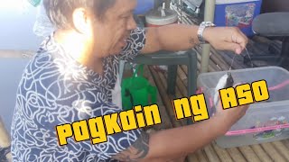 Mamingwit tau ng pagkain ng asoRunwheyTV [upl. by Nyer]