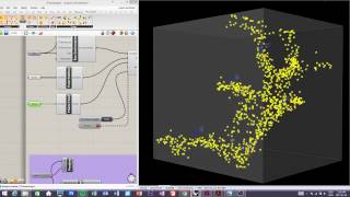 Physarum polycephalum simulation 5 [upl. by Aiekal]