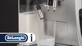 How to clean the milk frother using the clean function on your DeLonghi ECAM 25462 [upl. by Enilkcaj]