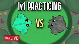 Mopeio Livestream  1v1 PRACTICING WITH FANS  TAG B [upl. by Akedijn]