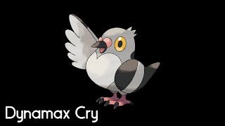 Dynamax Pidove Cry [upl. by Laurianne774]