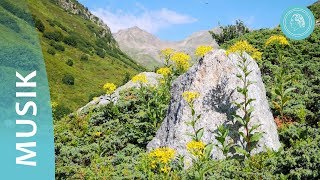 Verbundenheit – wohltuende Musik und Naturfotos von Bruno GröningFreunden [upl. by Halimak]