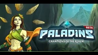 How to Fix Paladins Error MSVCR110dll 2019 [upl. by Clayborn]