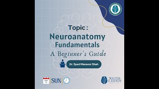 Neuroanatomy Fundamentals  A Beginners Guide [upl. by Florencia]