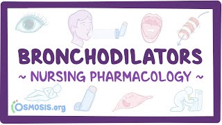 Bronchodilators Nursing Pharmacology [upl. by Edmee]