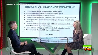 Indagini e campagne di Essere Animali cambiare gli allevamenti in Europa 02062023 [upl. by Gardell]