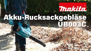 Makita AkkuRucksackgebläse UB003C [upl. by Ahseia723]