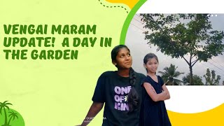 🌿 Vengai Maram Update A Day in Our Garden Adventure 🌿comedytamilcomedytamilgardeningvengai [upl. by Sualkin]