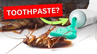 Stop Cockroaches Naturally  Proven Methods to Prevent Cockroach Infestation in Your Home [upl. by Ayamat944]