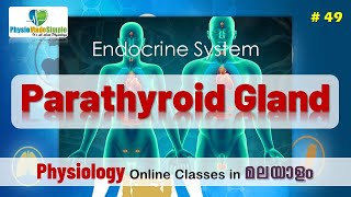 Ep49  Parathyroid Gland humanphysiology malayalam endocrinesystem [upl. by Elkcim]