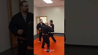 McDojo Short What would you call these techniques [upl. by Hairacaz395]