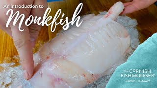 An introduction to Monkfish [upl. by Aissilem]