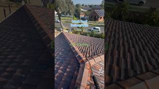 Roof Restoration shorts shortvideo brproofing roofingservices [upl. by Pawsner189]