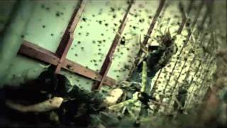 Machine Head  Locust OFFICIAL VIDEO [upl. by Yadroc355]