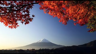 3 HOURS of the Best Traditional Japanese Music  Relaxing Music for Stress Relief and Healing [upl. by Nirb269]