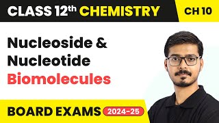 Nucleoside amp Nucleotide  Biomolecules  Class 12 Chemistry Chapter 10  CBSE 202425 [upl. by Atwekk]