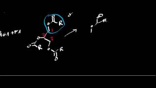 Biochemistry  Lipases [upl. by Ajnotal188]