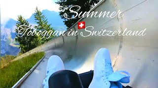 Mountain Coaster🇨🇭Summer Toboggan Ride in Oeschinensee Kandersteg  Alpine slides Adventures 4K [upl. by Rollet]