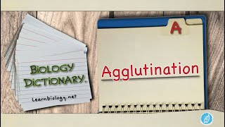 Agglutination  Biology Dictionary  Spoken Biology Definitions [upl. by Eilata165]