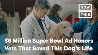 6 Million WeatherTech Super Bowl Ad Honors the Vets That Saved a Dog’s Life  NowThis [upl. by Ailekat]