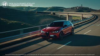 New Alfa Romeo Stelvio [upl. by Eillak]