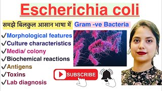 Escherichia coli in Hindi  Lab diagnosis  Pathogenicity  MLT  Nursing  Pharmacy [upl. by Zebapda]