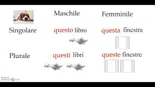 37  Aggettivi dimostrativi [upl. by Saunderson371]