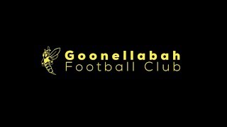 Goonellabah Hornets FC 2018 [upl. by Caresa]