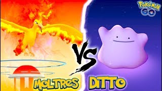 WHAT IF YOU USE DITTO AGAINST THE NEW MOLTRES IN POKÉMON GO LEGENDARY MOLTRES RAIDING [upl. by Suirtemed]