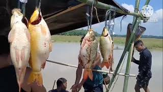 Jakoi mara competition in Mogho Bslenga doba [upl. by Lamrej]