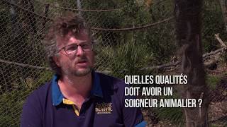 Quelles qualités doit avoir un soigneur animalier [upl. by Goodrow635]