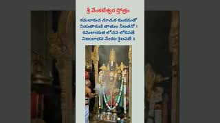 శ్రీ వేంకటేశ్వర స్తోత్రం [upl. by Rollins762]