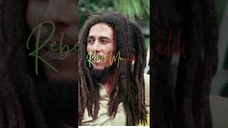 Bob Marley’s Spiritual Visit to Ethiopia bobmarley shorts reggae reggaeartist rastafari [upl. by Ahtelat117]