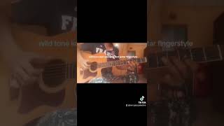 wild tone kopi ladeug by Beni guitar fingerstyle [upl. by Evaleen]