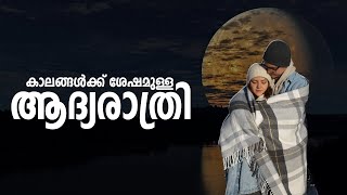 കാലങ്ങൾക്ക് ശേഷമുള്ള ആദ്യരാത്രി SHAHUL MALAYIL MALAYALAM STORY [upl. by Feldstein943]