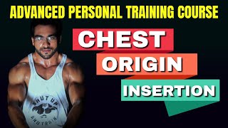 Chest Origin Insertion Advanced Personal Training Course [upl. by Rice337]