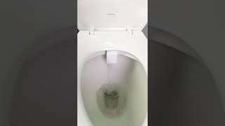 How to Use a Bidet  Easy to Use Better Than Toilet Paper How to Clean After Pooping [upl. by Pavier112]