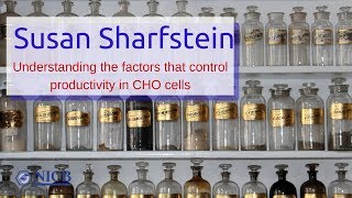 Susan Sharfstein  Understanding the factors that control productivity in CHO cells [upl. by Apfel]