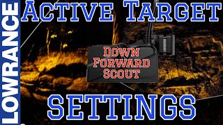 Active Target Settings Setup for Best Picture amp How to Use it Lowrance Active Target 1 amp 2 FFS [upl. by Asital656]