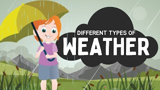 Different Types of Weather [upl. by Mcneil896]